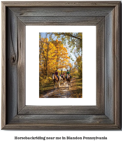 horseback riding near me in Blandon, Pennsylvania